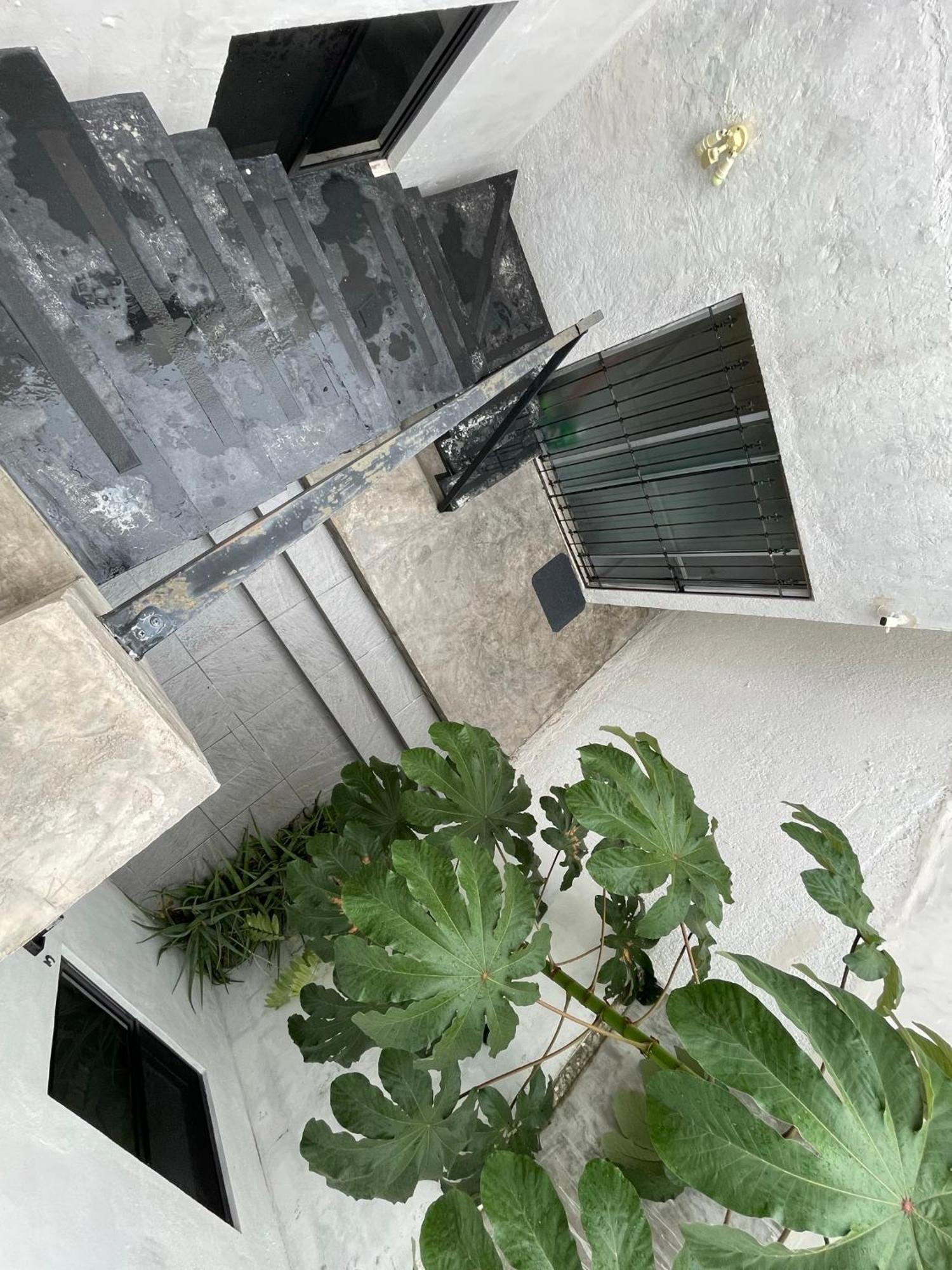Casa Y Departamentos Lavanda Mérida Zewnętrze zdjęcie